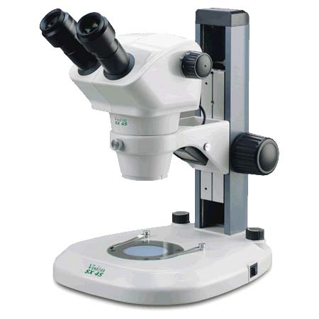 Greenough Stereo Microscope
