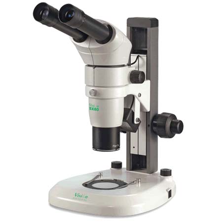 Binocular Zoom Microscope