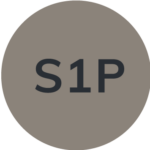 S1P